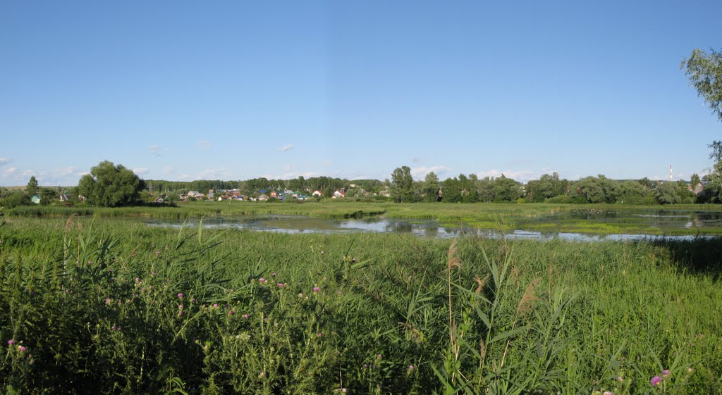 Вид пруда с ул. Трудовой / Pond View from Trudovaya Str.