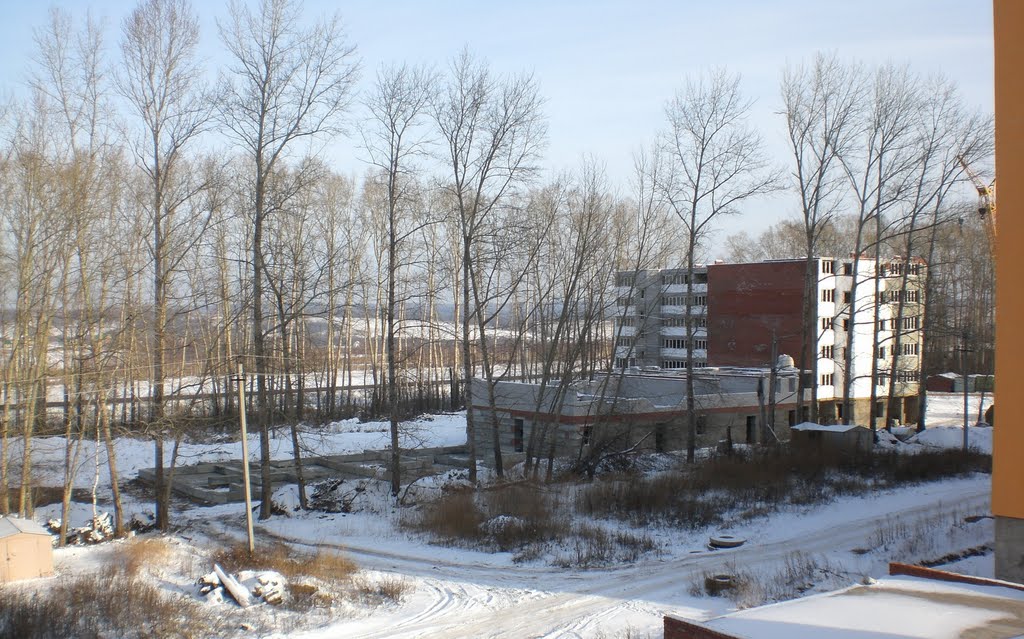 Строящийся дом, 2009 год