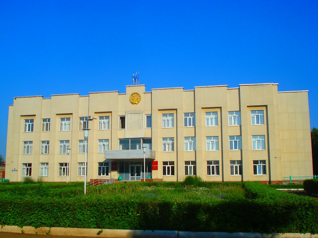 Місцева адміністрація