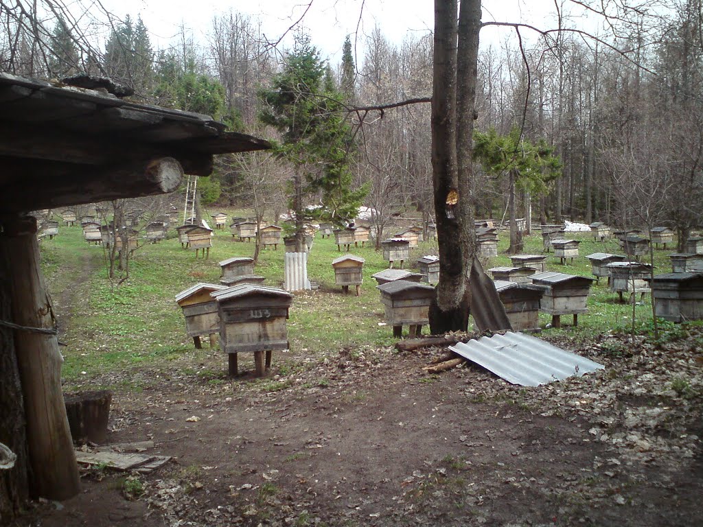 Пасека