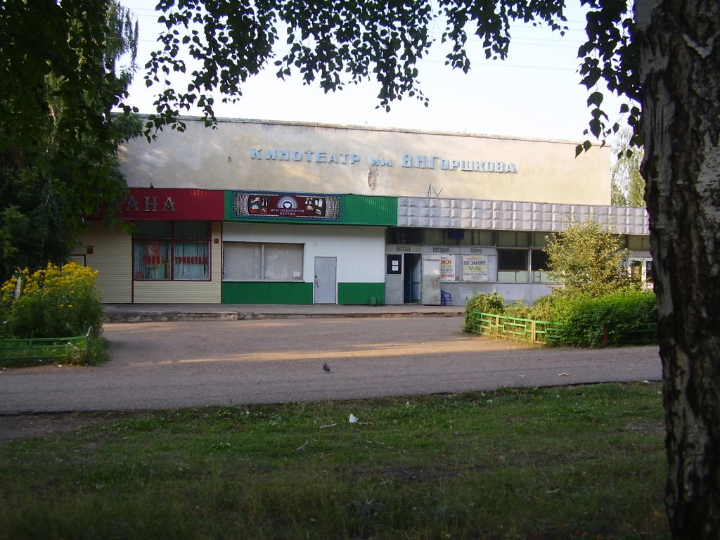 кинотеатр В.Н.Горшкова