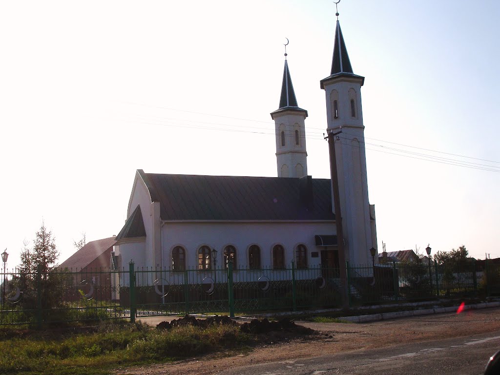 Мечеть в Зиргане.