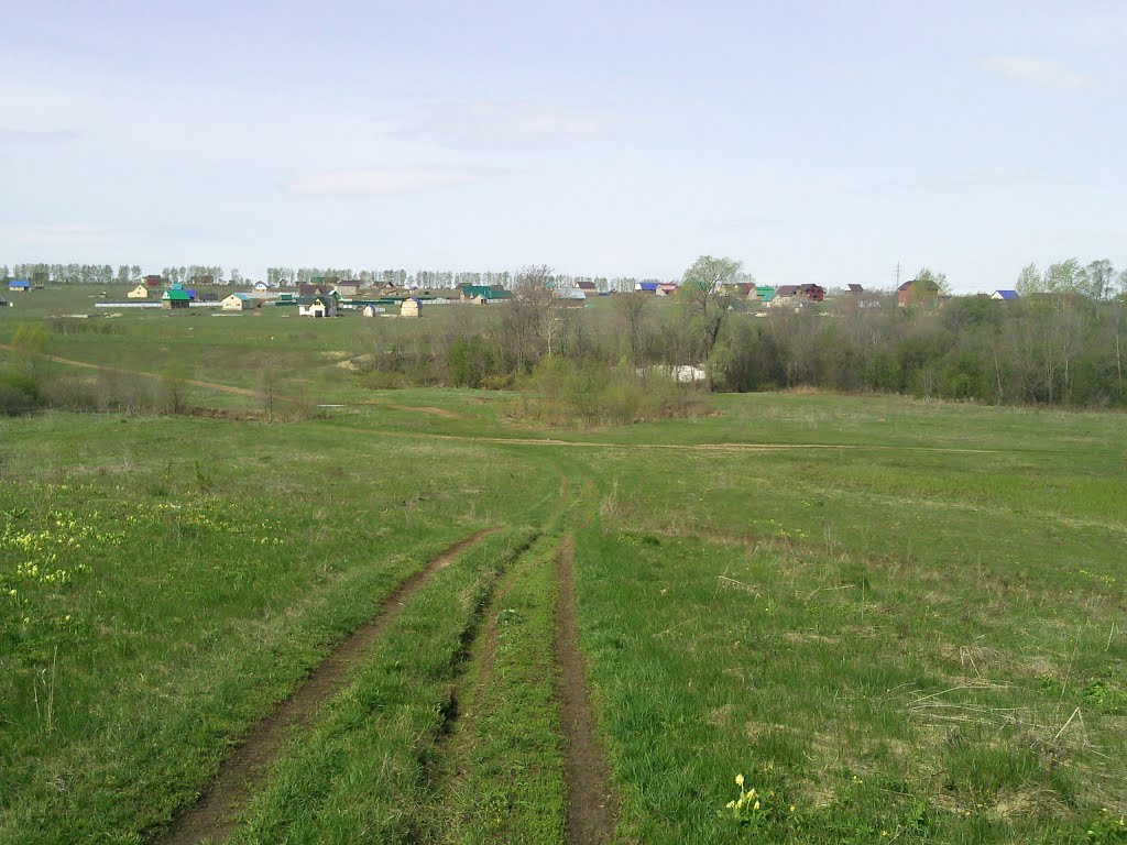 Дорога