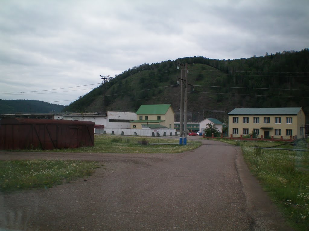 Инзер