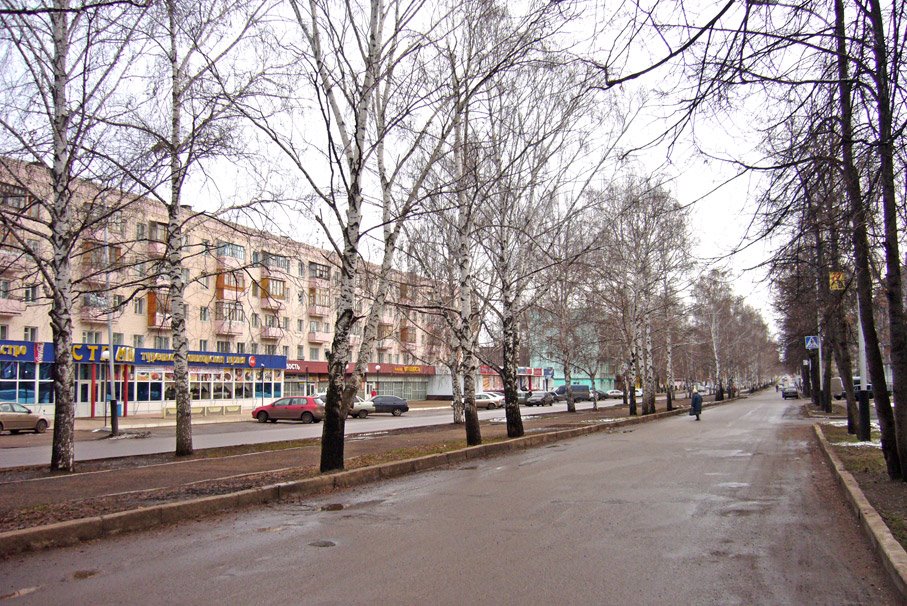 Губкина
