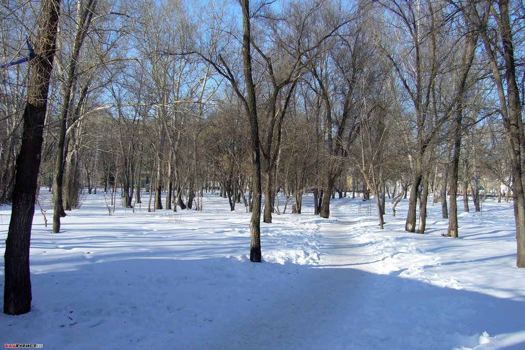 Парк