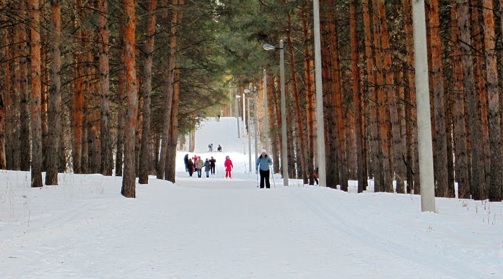 Лыжная база, освещёнка