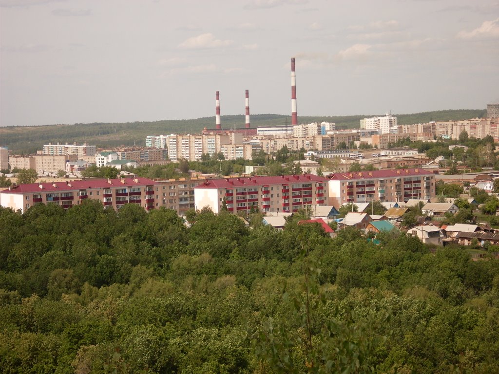 Вид с Лысой горы летом