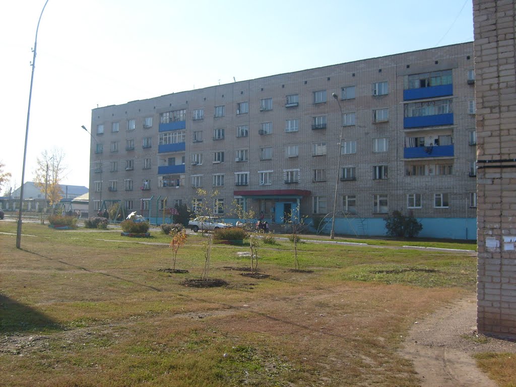5 общага - 5 hostel