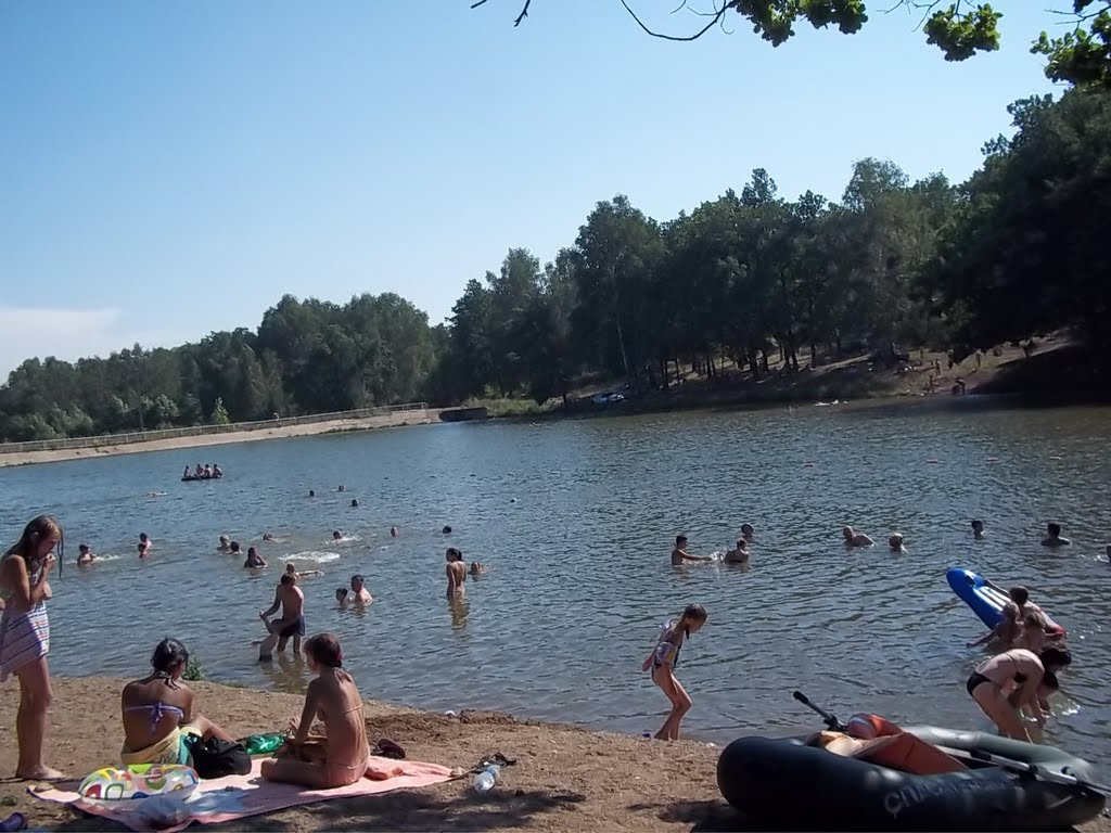 Старый пруд 2011