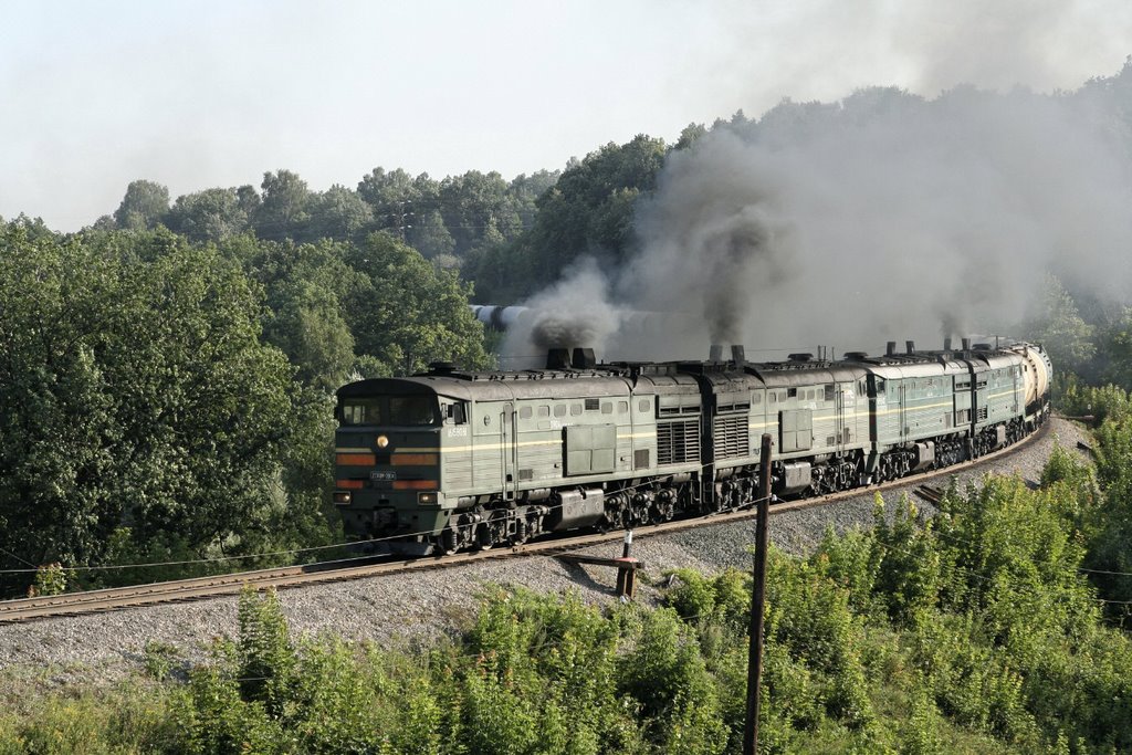 дорога к старому пруду