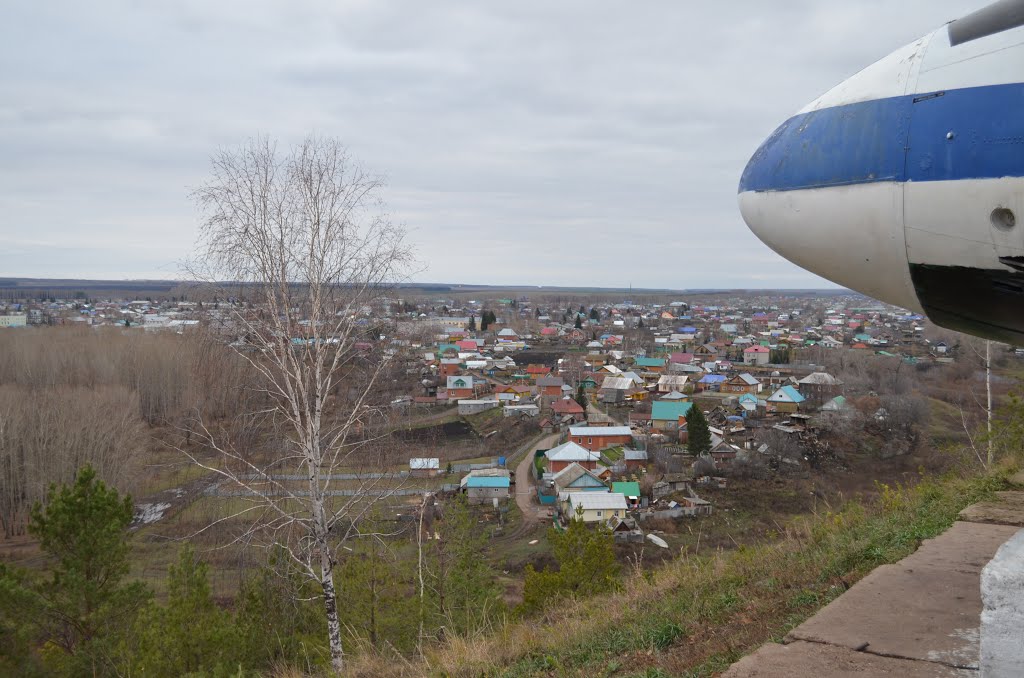 Кушнаренково (3нояб2012)