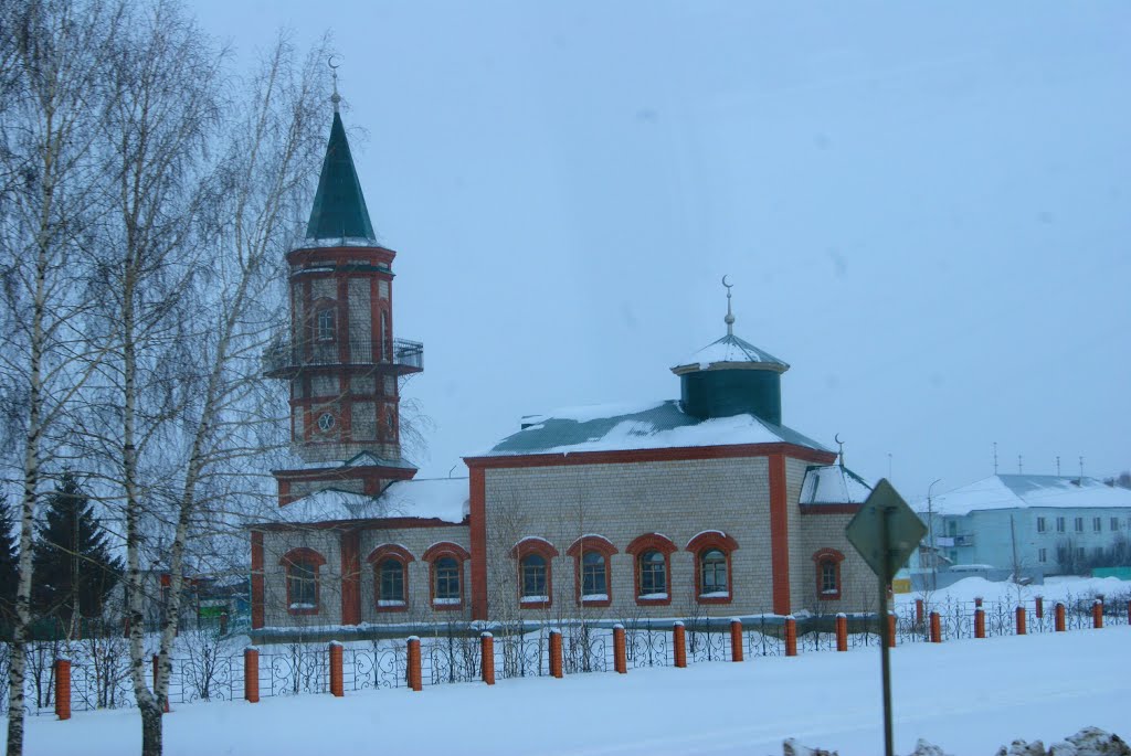 Мечеть у Кушнаренково ,лютий 2013