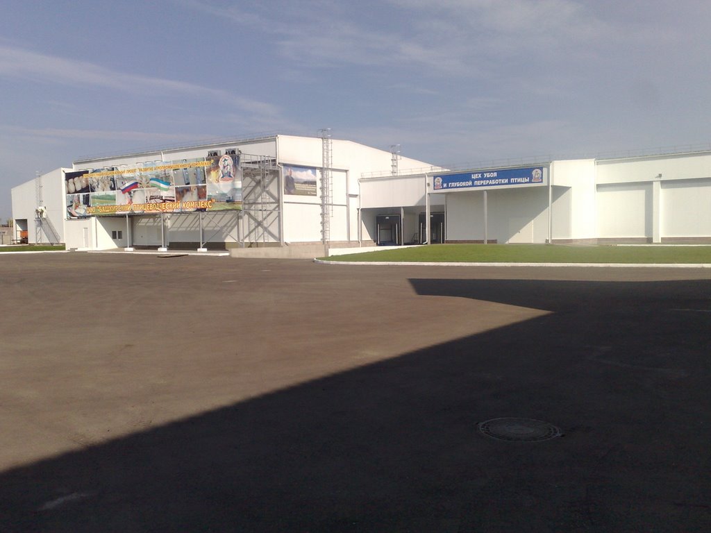 Poultry processing Project