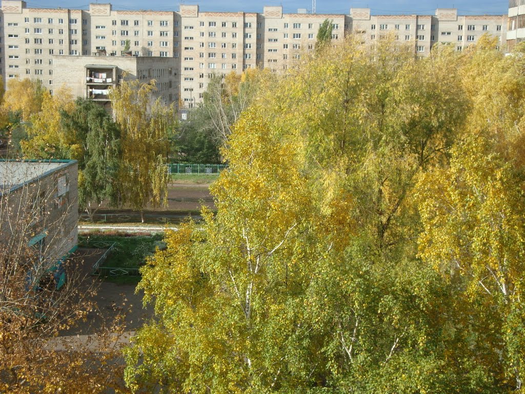 3 Гимназия