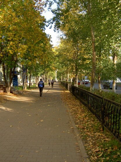 Parkovaya Street