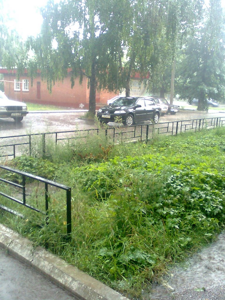 Ливень в городе