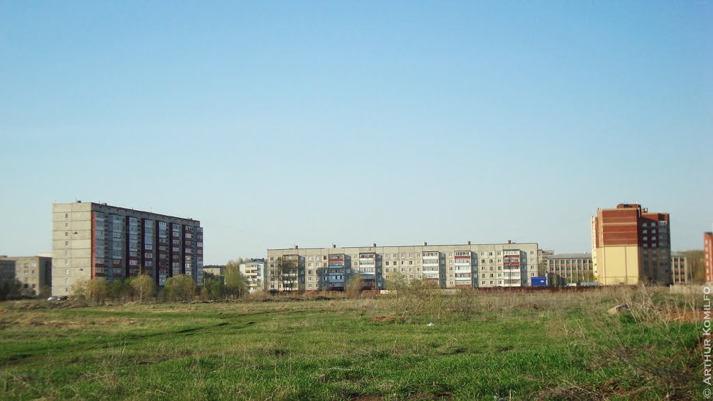 Пустырь за ул. К. Маркса