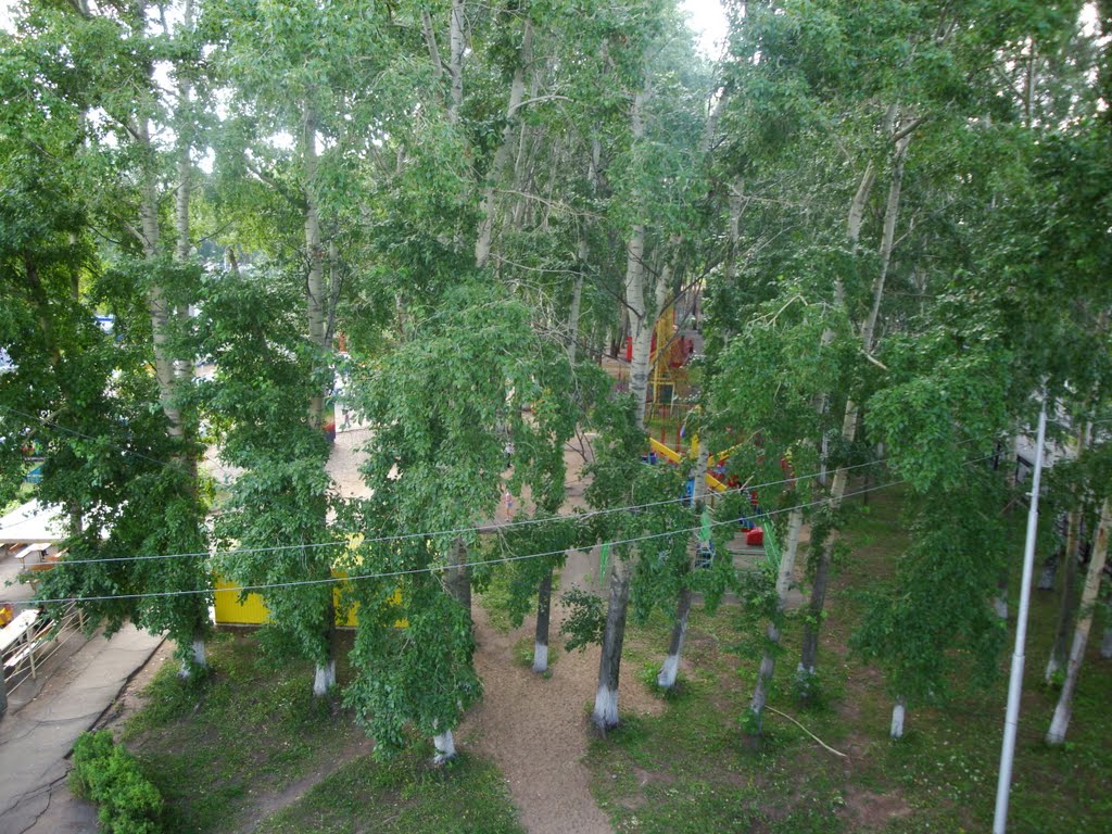 парк с колеса обозрения