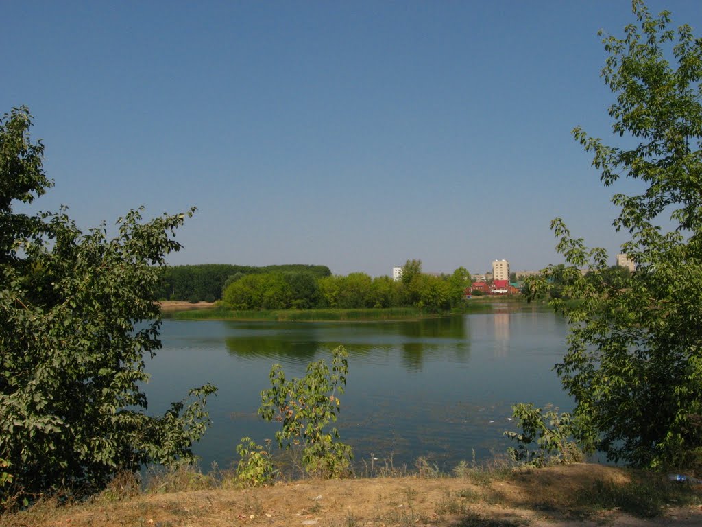 Южный берег "основного зеркала" оз. Ик-куль. Посередине небольшой островок/ Південний берег "основного дзеркала" оз. Ік-куль. Посередині невеликий острівець