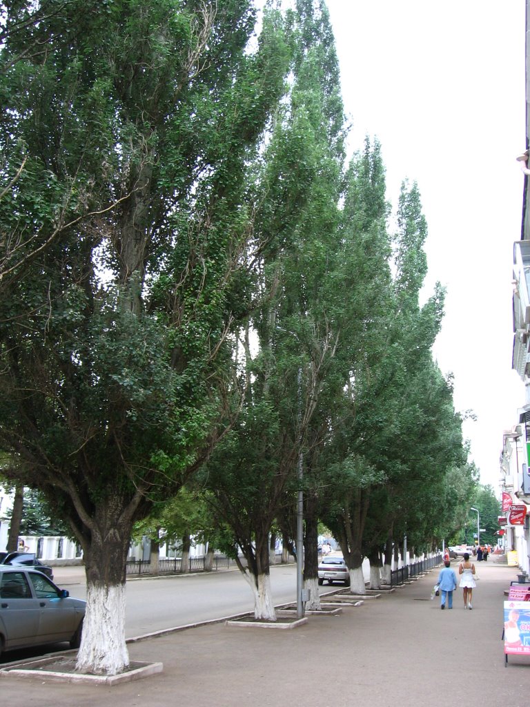 Ул. Ленина