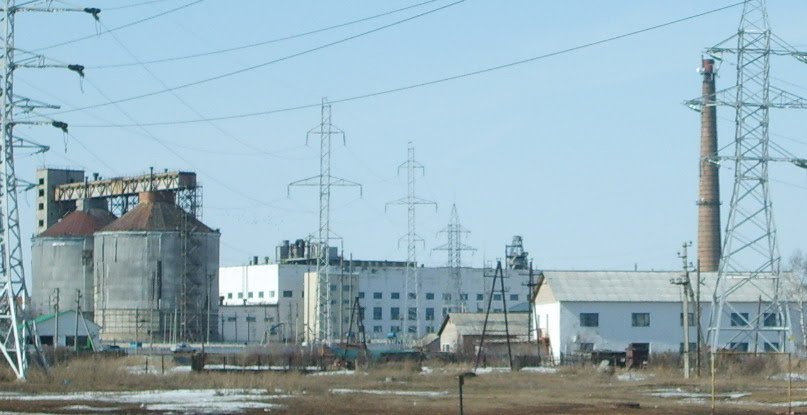 Раевский сахарный завод