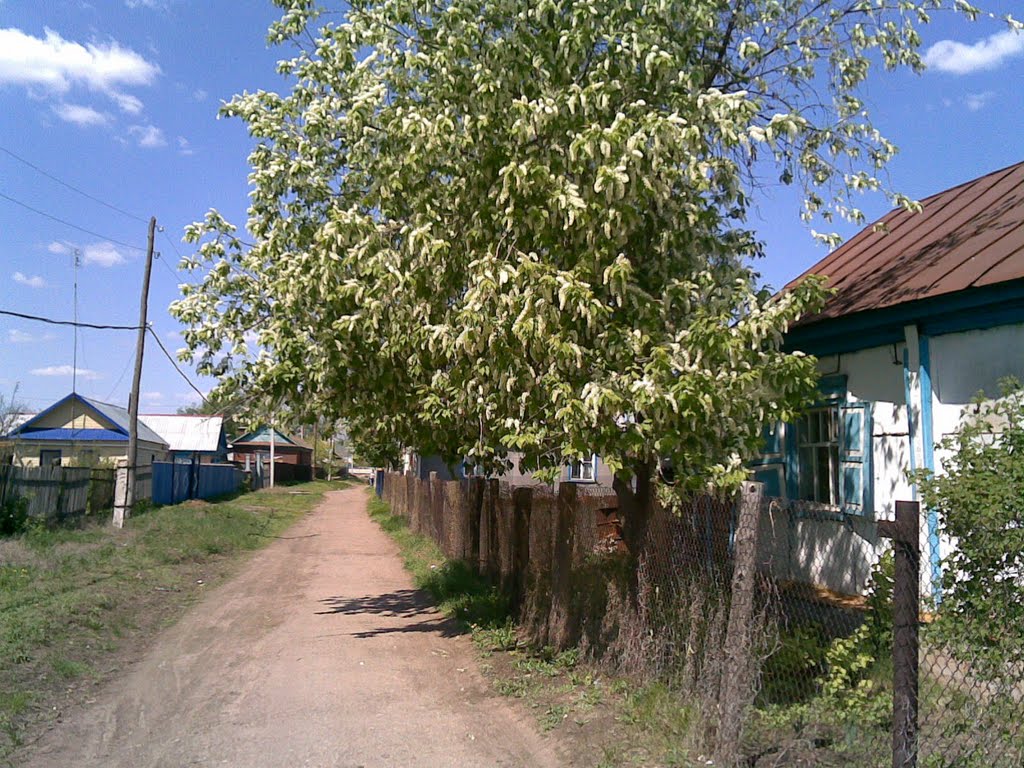 Переулок Деповской