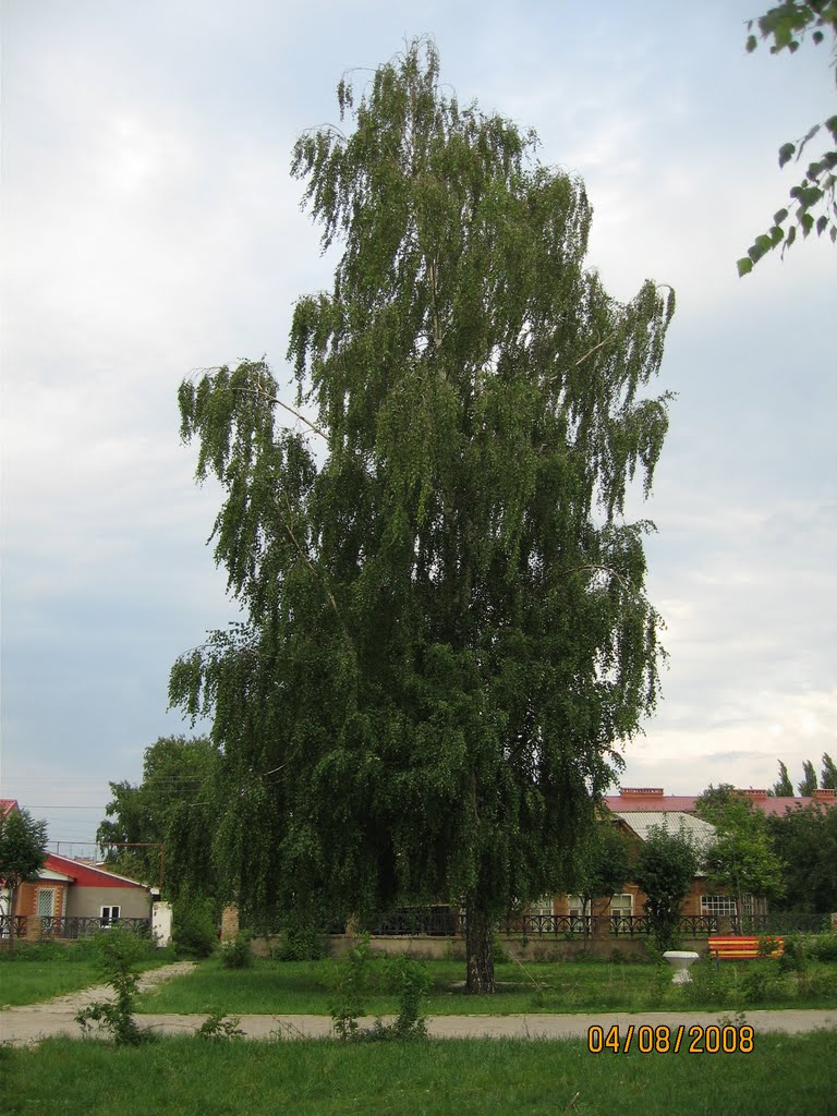 В Пушкинском сквере