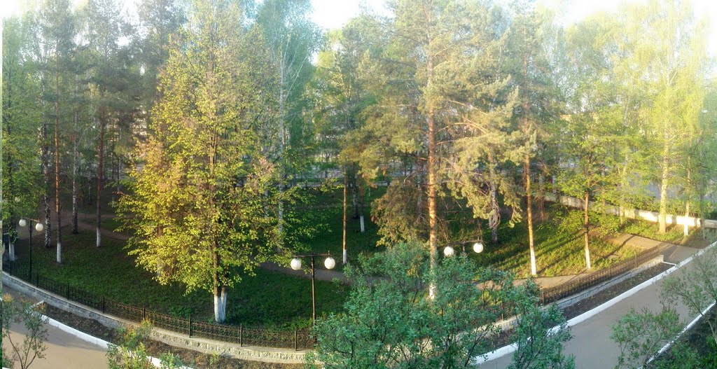 Salavat from “Bashkortostan” #334 14° 08.05.2010