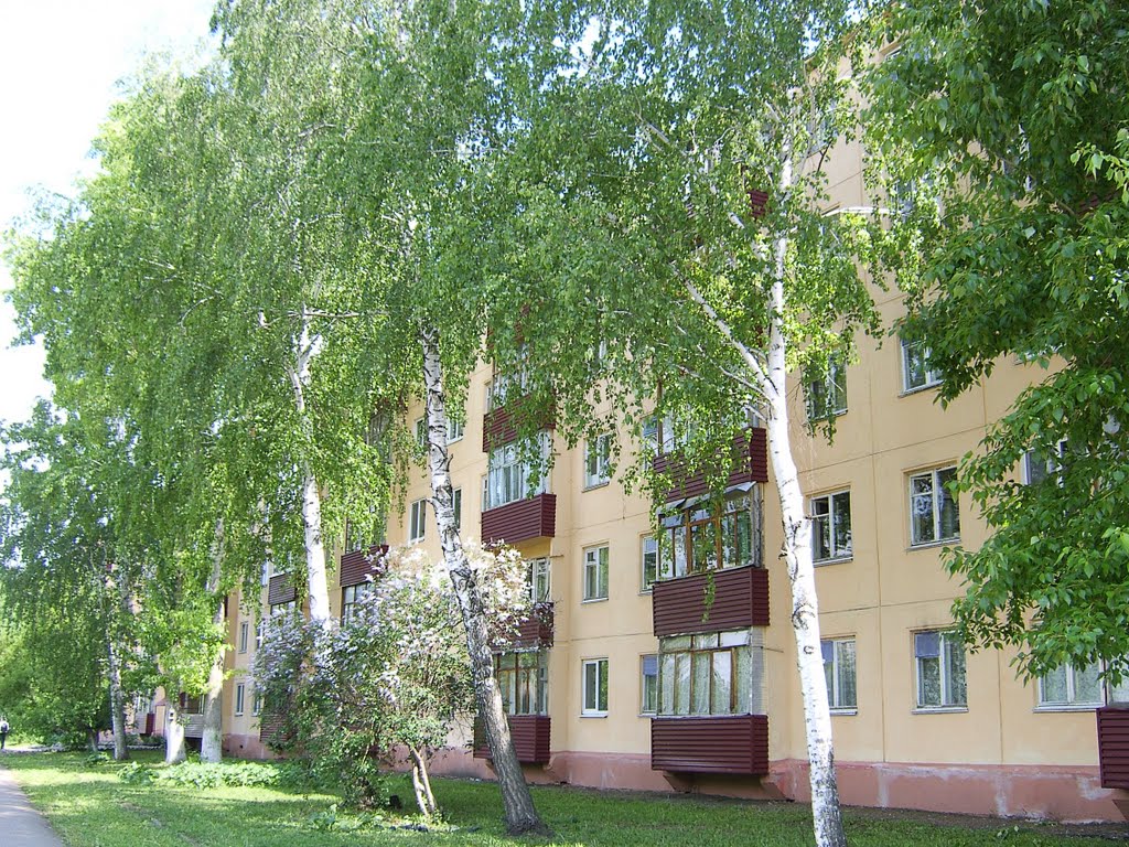 ул.Островского 52