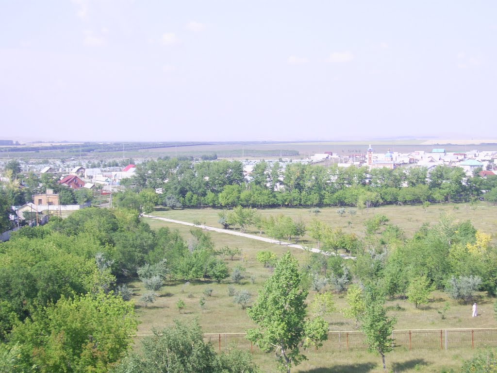вид с Колеса обозрения (видна церковь)