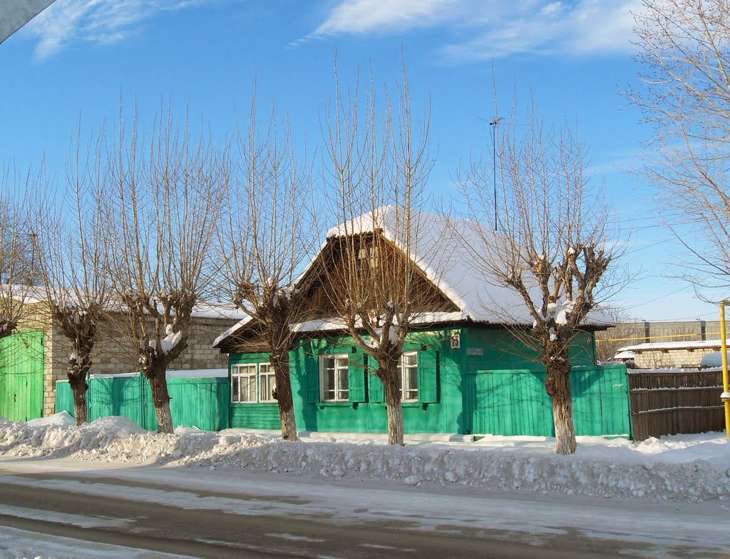 Домик на ул. Мотросова