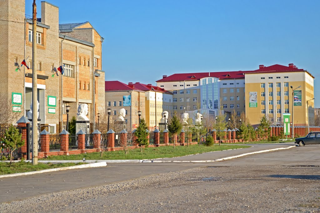 Сибайский институт БГУ, городская больница