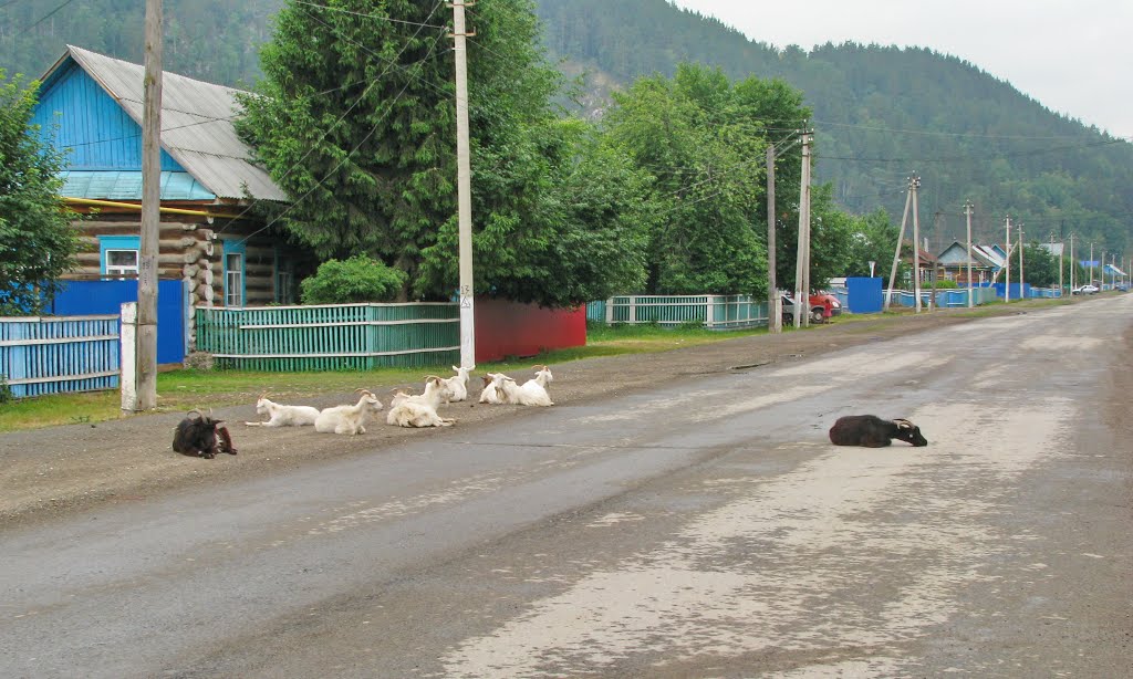невозмутимое спокойствие