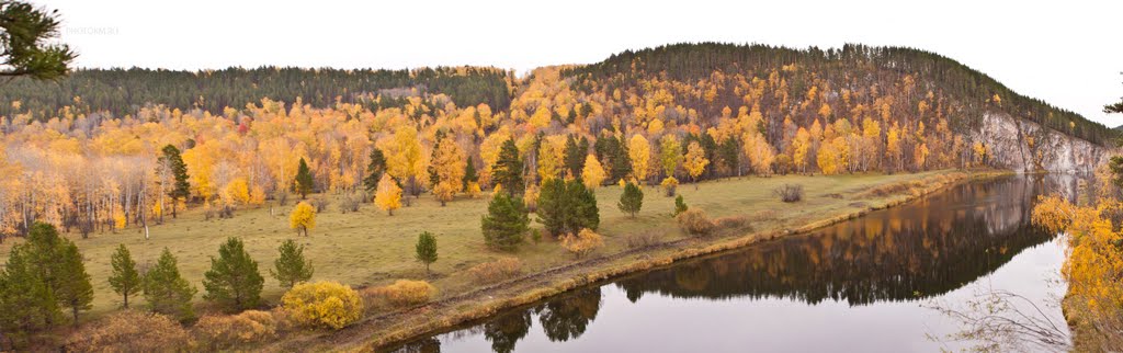 Белая (приток Камы)