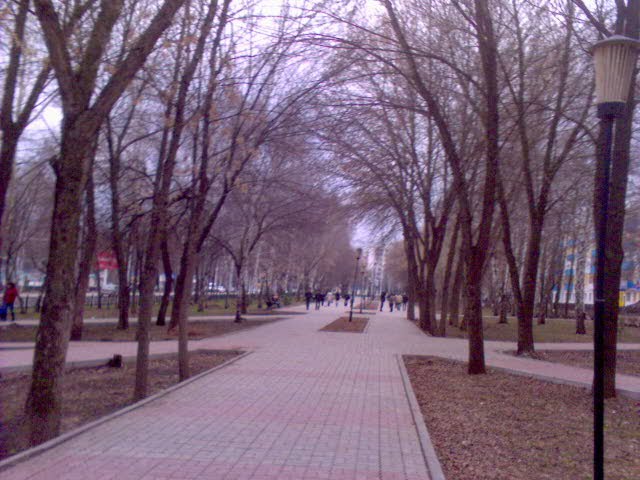 Аллея Проспект Ленина