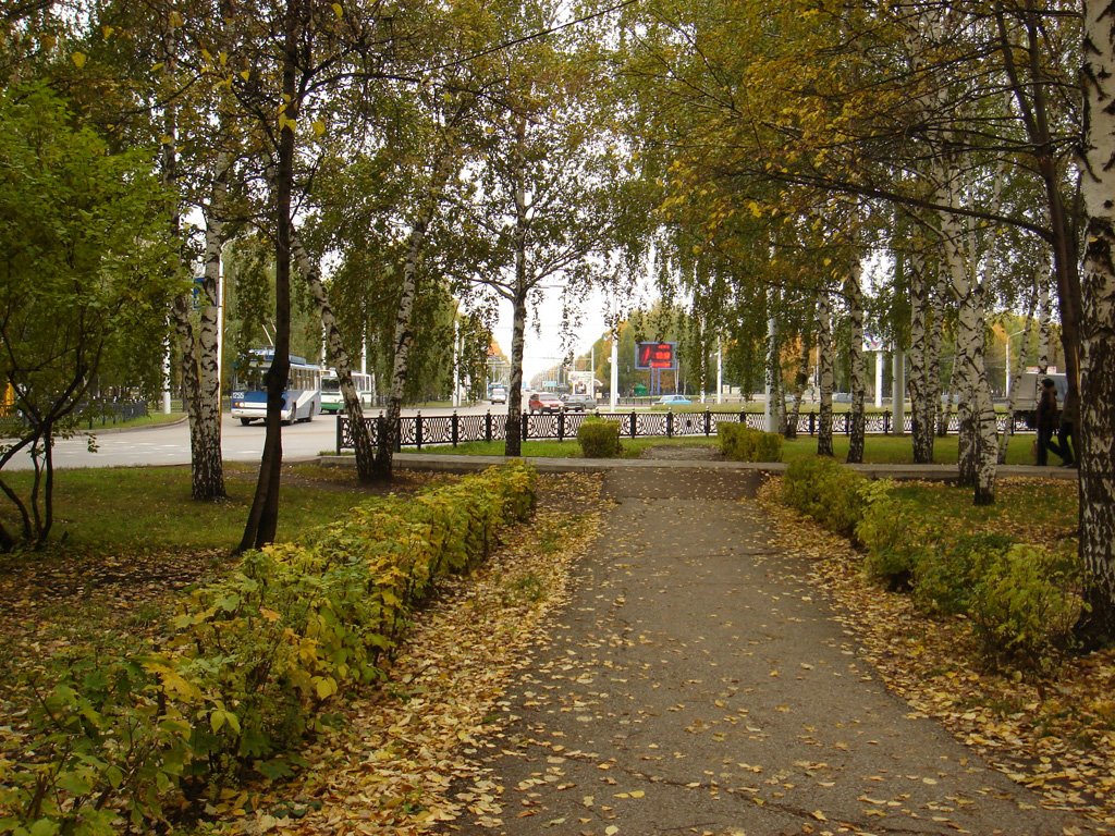 Кольцо