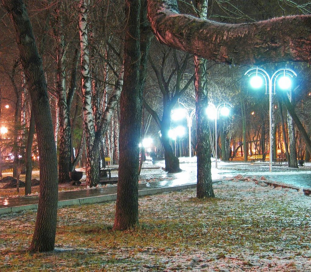 Осень. Аллея на пр.Ленина