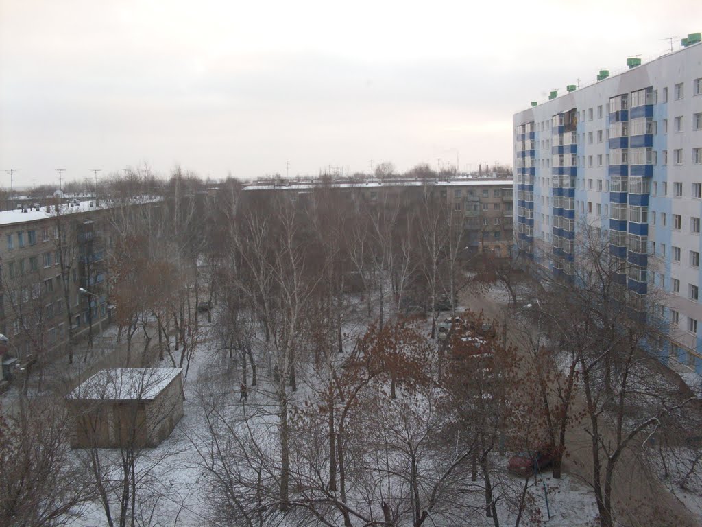 Вид из окна