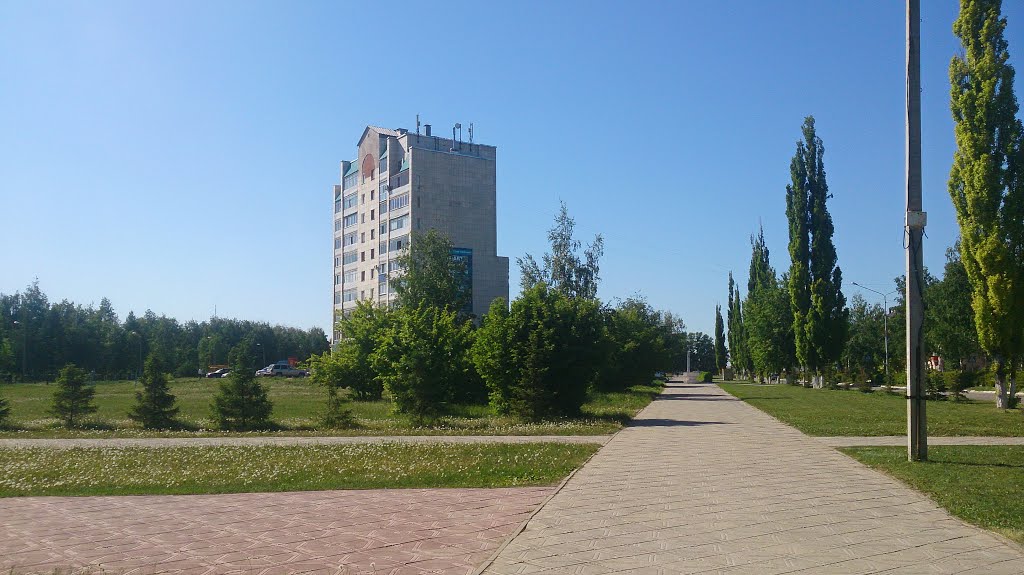 ул. Мичурина, многоэтажка № 14 возле ЦПКиО