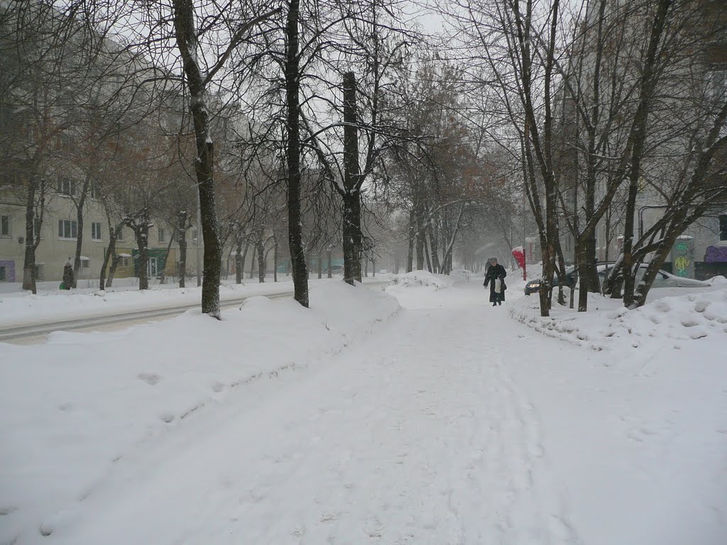 Ulitza Dostoieskogo