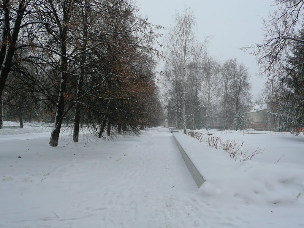 Park Lenina