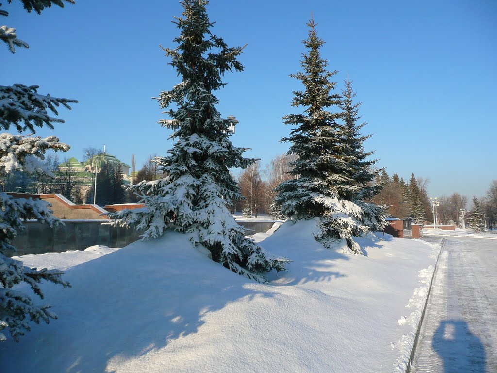 Neve neve neve
