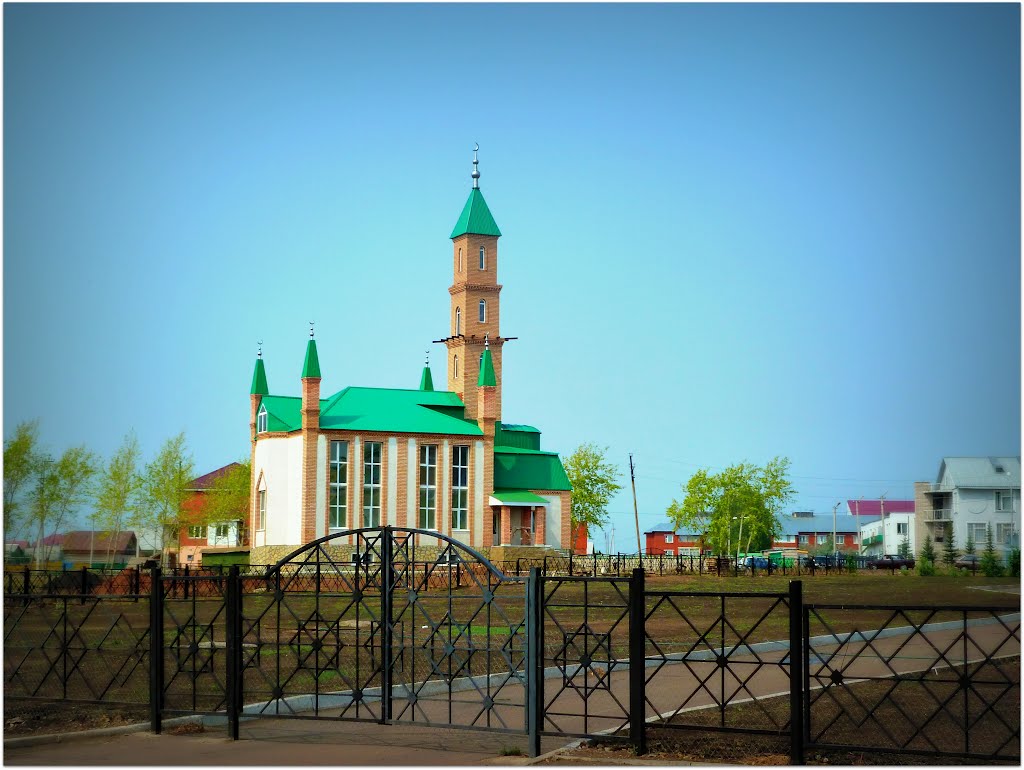 Chekmagush