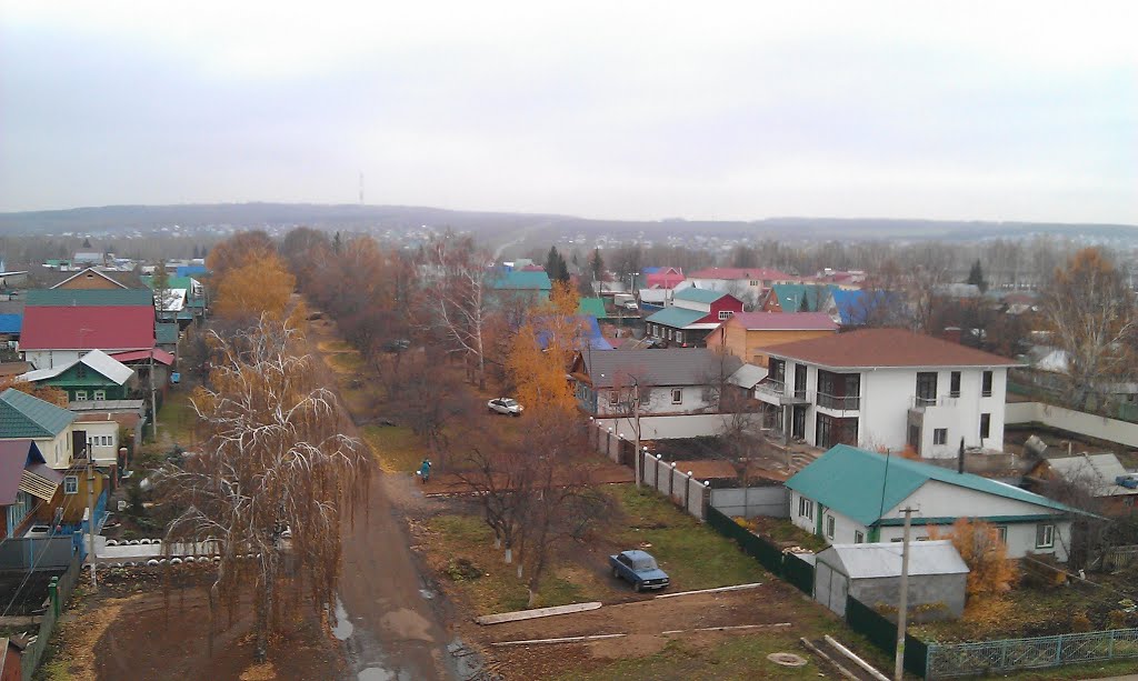 Чишмы Ленина 50