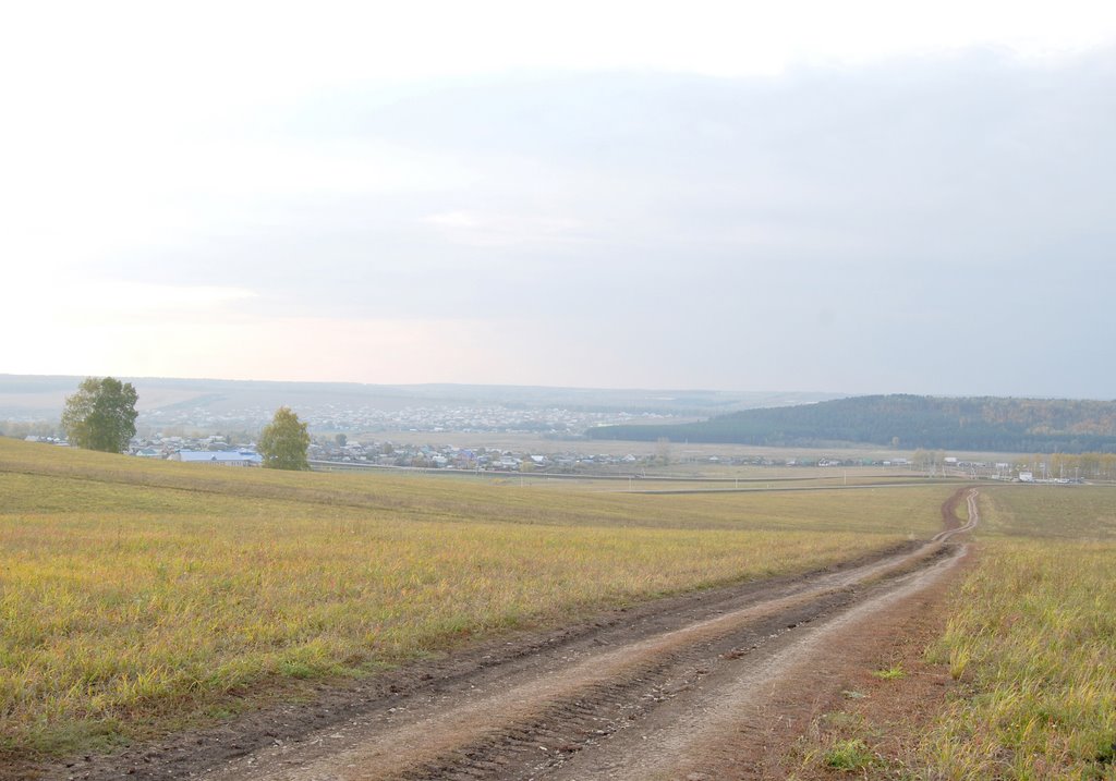 Дорога
