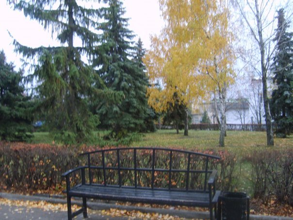 скамейка в аллее
