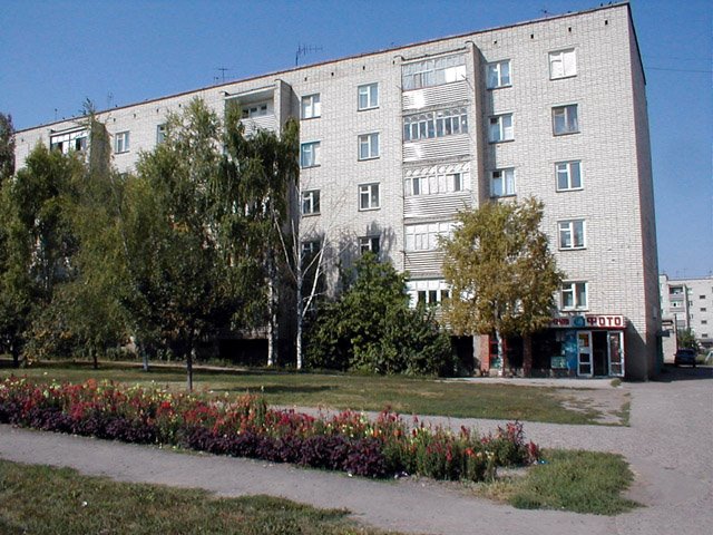 дом напротив пожарки
