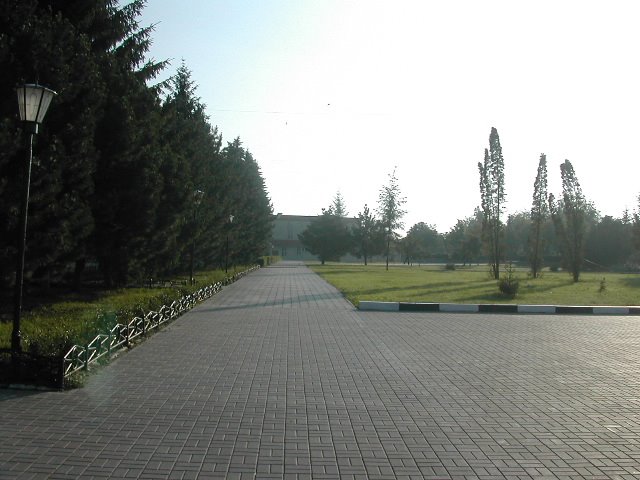 возле гастронома утром