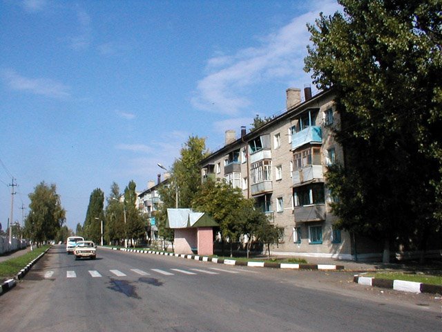 ул. В. Собины